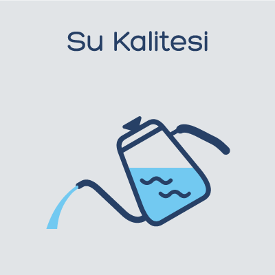 Nitelikli Türk Kahvesi - Su Kalitesi 